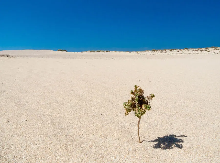 Le dune di sabbia di Corralejo